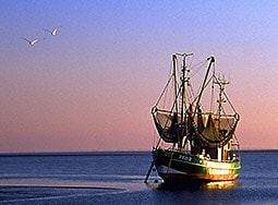 Image: Cutter de pêche sur la mer