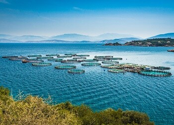Pêche durable - aquaculture