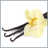 Unsere besten dolcedo Zutaten: Vanille