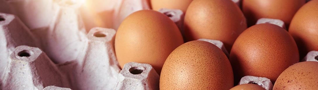 Ernährungsmythen - rohe Eier